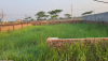 3 Katha Plot Sale Block N Bashundhara R/A